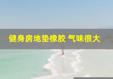 健身房地垫橡胶 气味很大